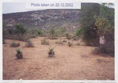 in 1999 barren