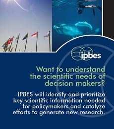 At the international level, we need to ensure that the best available scientific information feeds the existing global