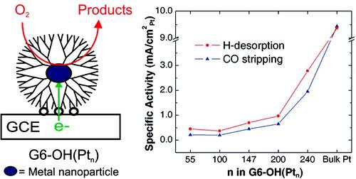 Langmuir 2007, 23, 11901-11906 Effect of Particle Size on the Kinetics of the Electrocatalytic Oxygen Reduction Reaction Catalyzed by Pt