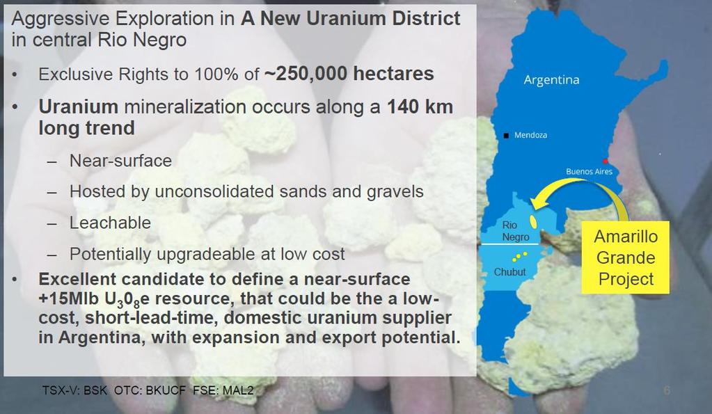 Overview of projects Amarillo Grande Uranium-Vanadium Project Rio Negro Province The Rio Negro Province is host to several facilities related to Argentina s nuclear industry.