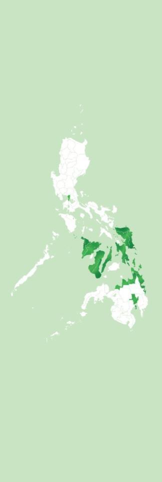 Preparation of a National REDD+ Mechanism for Greenhouse Gas Reduction and Conservation of Biodiversity in the Philippines (National REDD+ System Project)