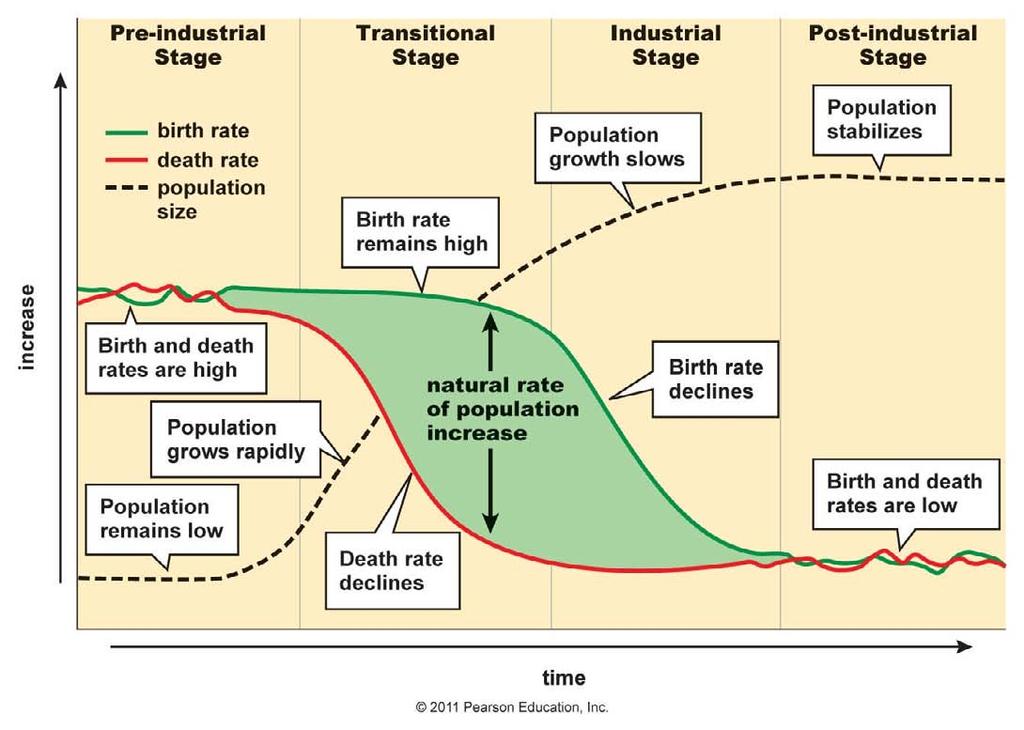 Demographic Transitions in Population Growth of