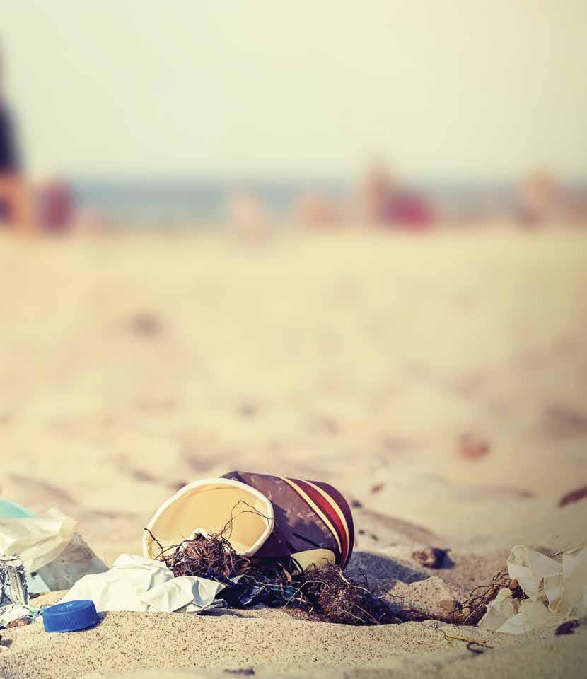 beach litter in the baltic sea estonia, finland, latvia, sweden Plastics Glass & ceramics Paper & cardboard Metal Foamed plastic Other 11% 9% 7% 6% 11% 56% Beach litter pilot projects, such as MARLIN