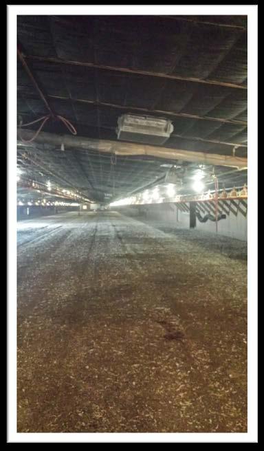 Manure Storage and Handling Collection: