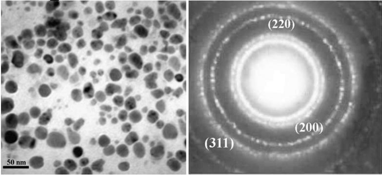 Silver Nanoparticles production and medical applications Biosynthesis of Silver