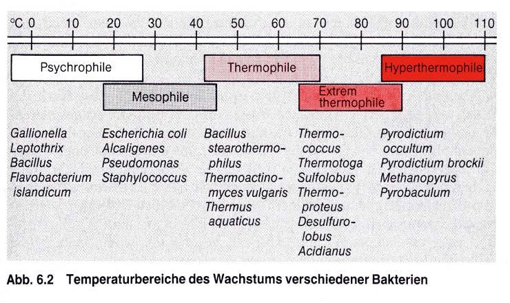 Temperatures ranges for microorganisms involved Source: Schlegel, H.