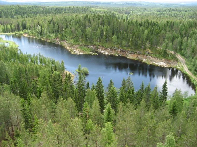 North Karelia Climate change not expected to drastically impact health or stability of forest ecosystem Gradual change