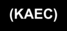 Knoxville Area Employment Consortium (KAEC) KAEC is comprised of organizations and agencies in the Knoxville area with a shared commitment to