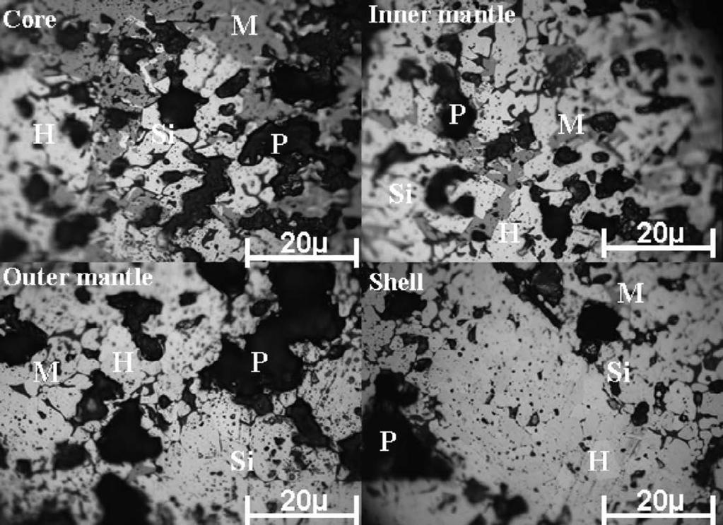 (a) (b) (c) (d) (e) Fig. 6. (a) (e) Micrographs of pellet at higher carbon rate with different firing temperature.