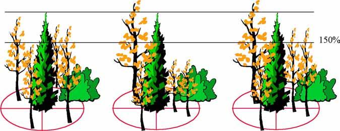 Establishment to Free Growing Guidebook: Northern Interior Forest Region Figure A9-4. Potentially free growing trees. Left: Crop tree is not the required height above the broadleaf trees.