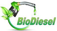 Biodiesel 350 mn litres per year most exported to USA, then re-imported as