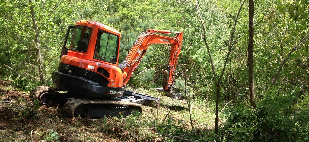 Natural Resources Conservation Service TARGETING BY STATE north CAROLINA Mechanical Removal. In many cases, trees are removed mechnically to jump-start young forest growth.