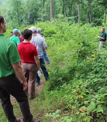 Based on the technical and public input received, NRCS leadership in the Appalachian states developed this five-year strategy outlining approaches and milestone goals for implementing private lands