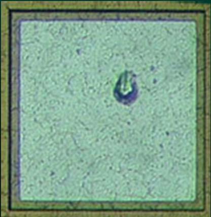 Technoprobe Route 60 (13 µm