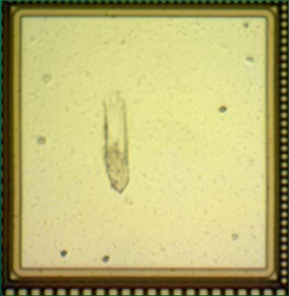 A (10 µm tip) Overdrive: 30µm