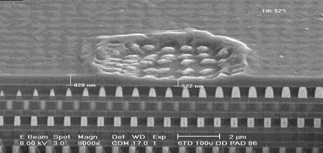 No Scrub TM (25 µm