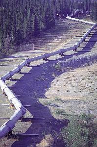 Pipelines and Conveyor Belts Pros: High volume, continuous