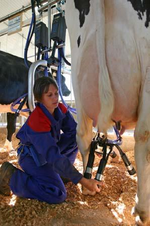 Milk yield/cow ~ 9 422 kgs Farm