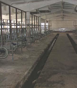 200 kgs Farm structure Plot Farms ~ 2 500 000