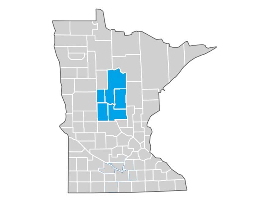 STUDY BACKGROUND AND OVERVIEW NORTH CENTRAL REGION Minnesota s regions differ in size, social and economic characteristics, history, and geography.