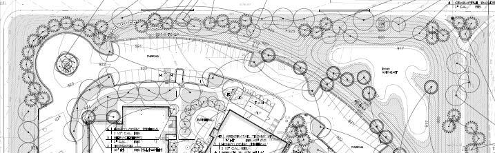 Zoning Analysis - Landscaping The landscaping plan includes over