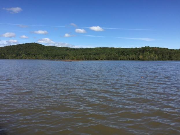 Figure 2.12 a photo of water near MM6 on Leesville Lake taken on September 30, 2015.