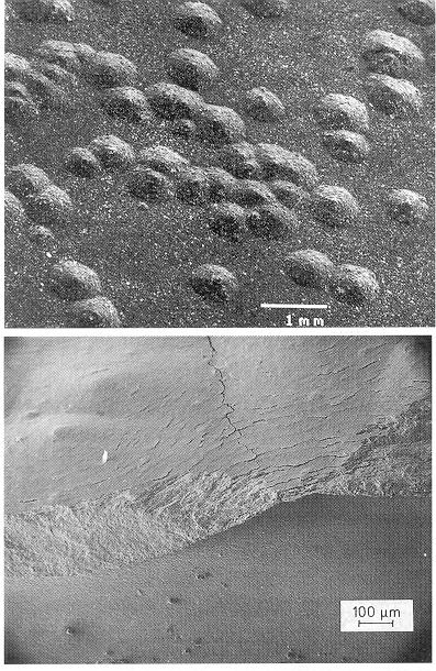Figure 22.14: General appearance of nodules formed on zirconium alloy following a 500ºC steam test at 10.3 MPa (photo courtesy of R.