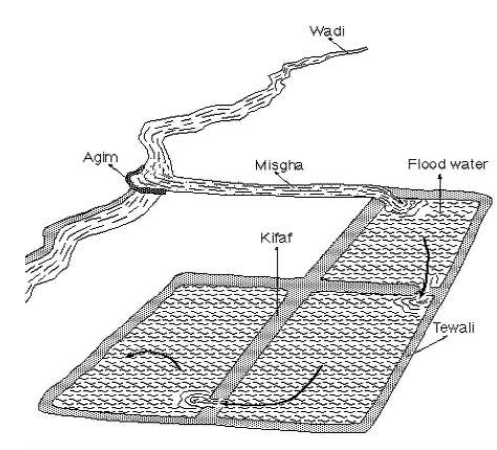 deposited on the soil. Seeds are sown in these fields and crops are produced using the residual soil moisture (Figure 1).
