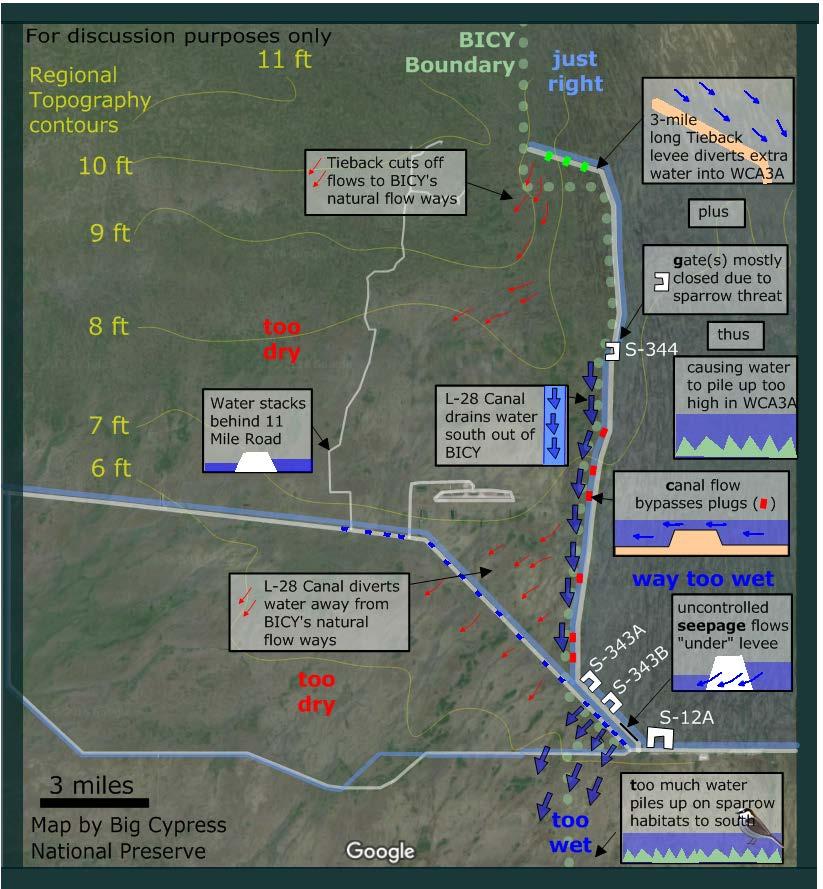FIGURE 9. DEPICTION OF EXISTING HYDROLOGIC ISSUES WITHIN AND ADJACENT TO BCNP AND THE L-28 LEVEE (SOURCE BCNP STAFF MEMBERS) 4.