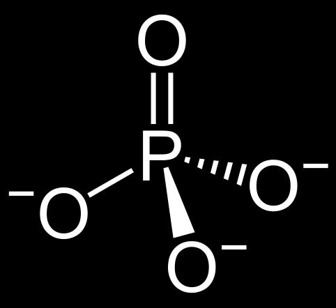 Orthophosphate (PO 4 3- ) Environmental P is Phosphate Soluble P