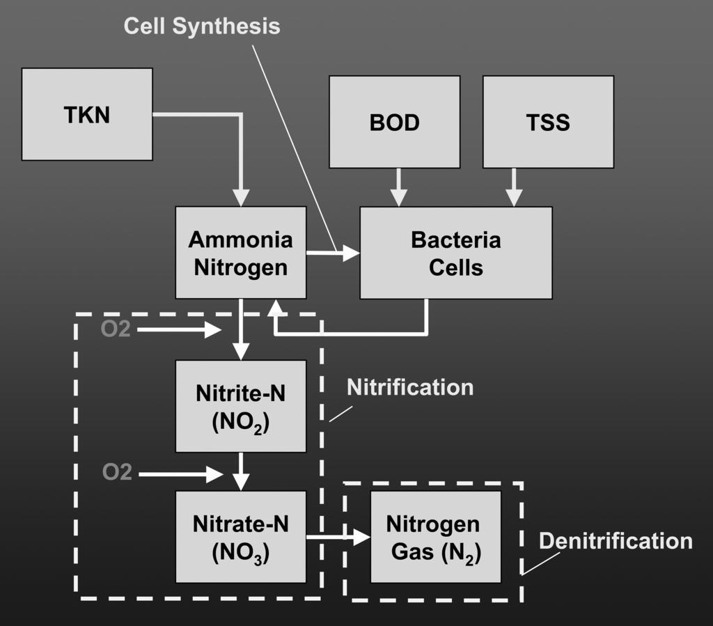 Biological Nutrient Removal Processes 22-21 FIGURE 22.7 Nitrogen removal in wastewater treatment systems.