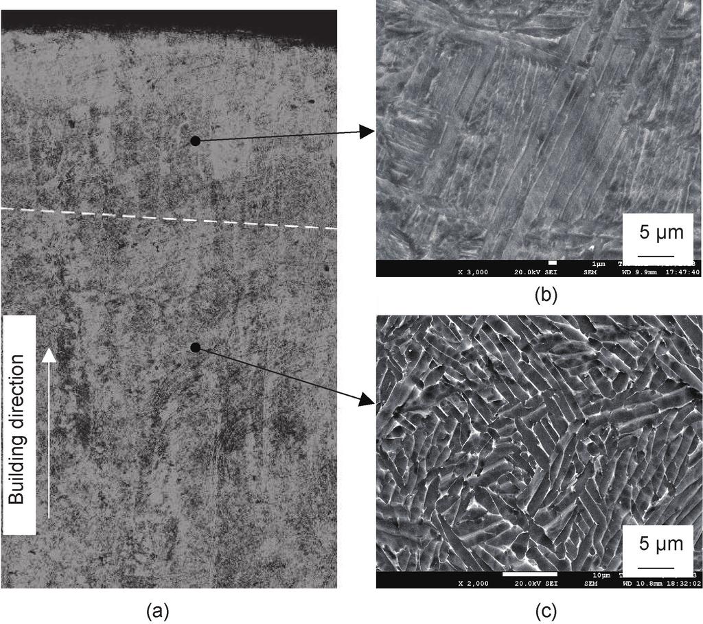 Research 3D Printing Article Figure 10. BSE microstructures of Ti47Al2Cr2Nb fabricated by EBSM. Figure 8. Microstructures of Ti6Al4V fabricated by EBSM.