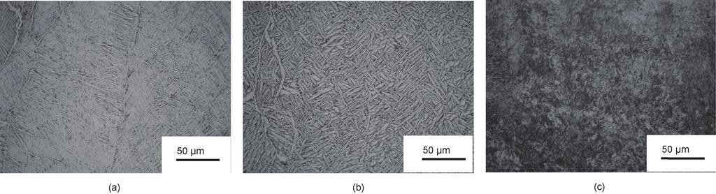 TEM image of the lamellar structure of the EBSM-fabricated Ti47Al2Cr2Nb. 4.3 Ti6Al4V/Ti47Al2Cr2Nb gradient structures A Ti6Al4V/Ti47Al2Cr2Nb gradient material was successfully fabricated by EBSM.