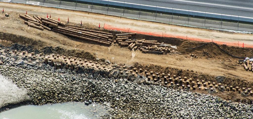TTT Poles used in an In-Ground Retaining Wall Motorway, Auckland, New
