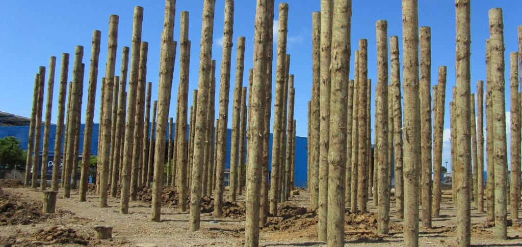 TTT Poles used for Ground Improvement Commercial Site, Manukau, New Zealand 3,500 pieces, H5 TTT