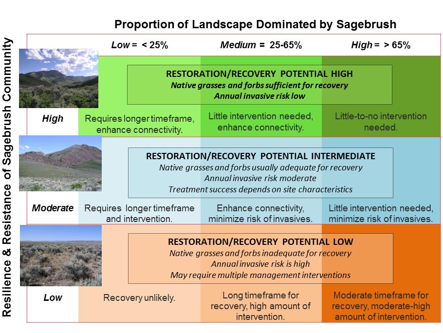 Figure 3. Matrix designed to link resilience and resistance with habitat for sage-grouse.