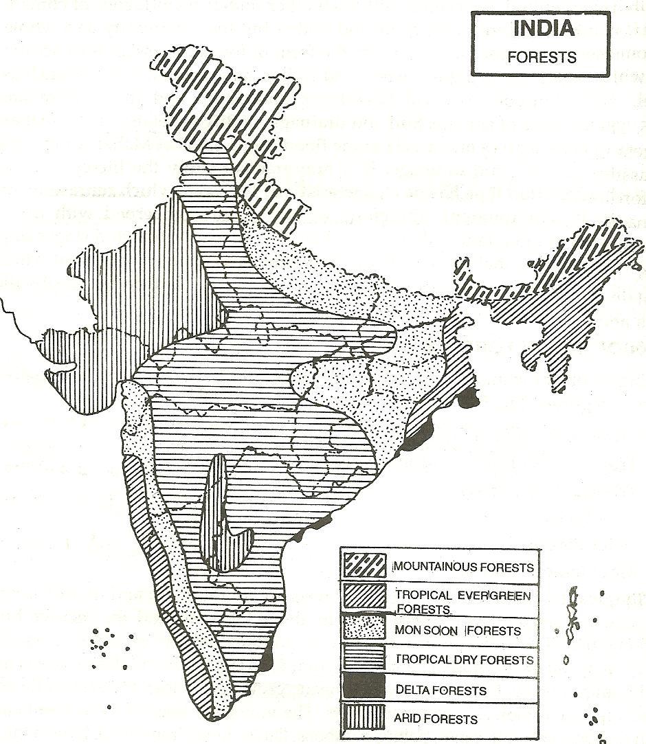 Forest Map of India Tropical Evergreen Forests These forests are found in hot and humid areas of India, having an average annual rainfall of about 200cm and relative humidity more than 70%.