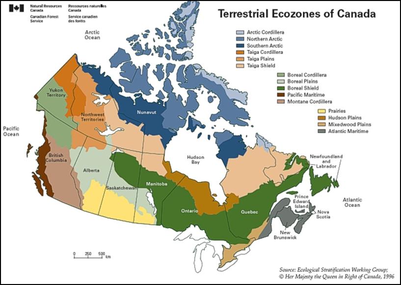 Eco zones of Canada (from NBDNR, Ecological Stratification Working Group, 1996) d) Forest by management type (ha): Plantation/Managed Natural/Natural There are 6.