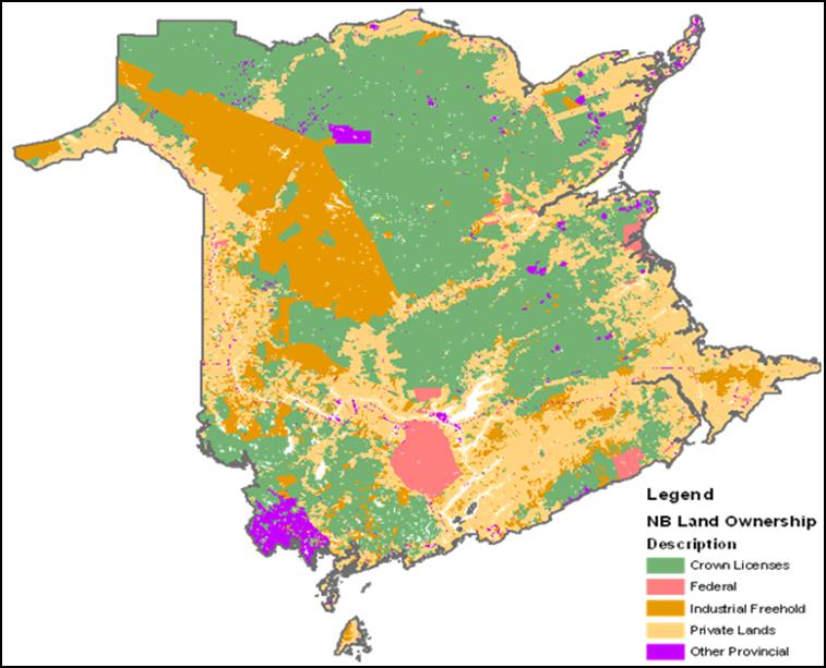 New Brunswick forests cover more than 6 million hectares of the provinces 7 million hectares of land. This equates to 83% of the province being covered in forest (NB Forests brochure, NBDNR).