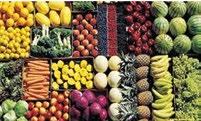 MAIN FIELDS OF USE FOOD/food TRANSPORTATION Elimination of