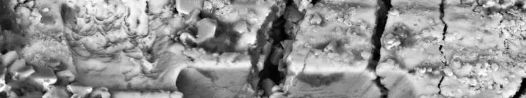 As seen in Figure 3, the cracks can be restricted only to the oxide layer, and not necessarily result in EAC crack initiation in the substrate (alloy) below. Figure 3. FIB milled micro cross section imaged by using FEG-SEM.