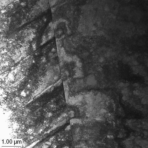 The microstructures of the non-cold-worked (a) and cold-worked (b) Type 304 stainless steel after straining at 1 10-8 s -1 show clear differences.