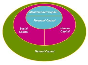 Why Natural Capital?