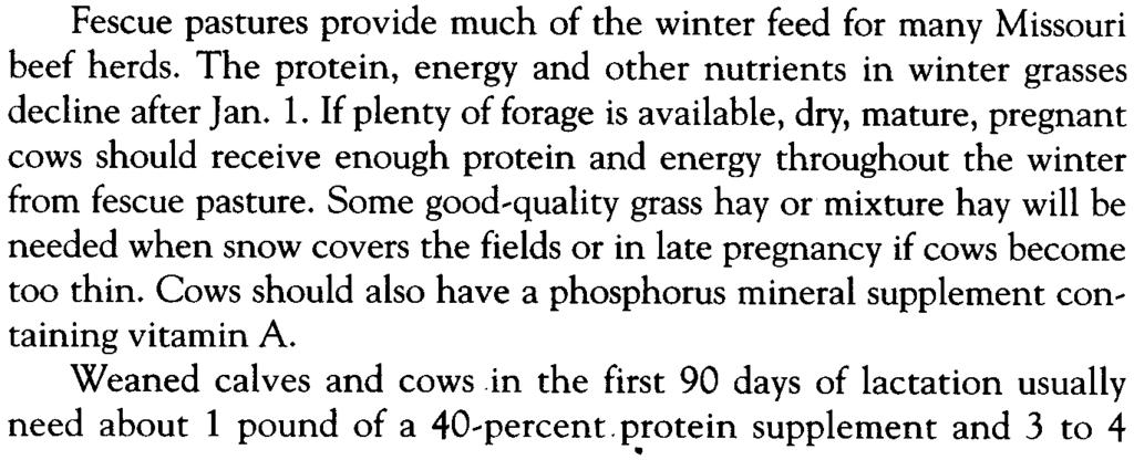 A free-choice mineral supplement containing 8 to 12 percent phosphorus should be fed with these rations. Fescue pastures provide much of the winter feed for many Missouri beef herds.
