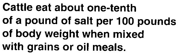 r Cattle eat about one-tenth of a pound of salt per 100 pounds of body weight when mixed with grains or oil meals. ~ meals. A cow eats 1 to 1.5 pounds of salt daily in these mixtures.