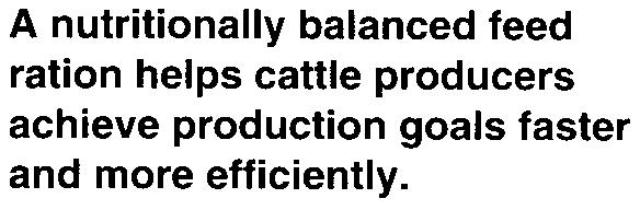 r A nutritionally balanced feed ration helps cattle producers achieve production goals faster and more efficiently.
