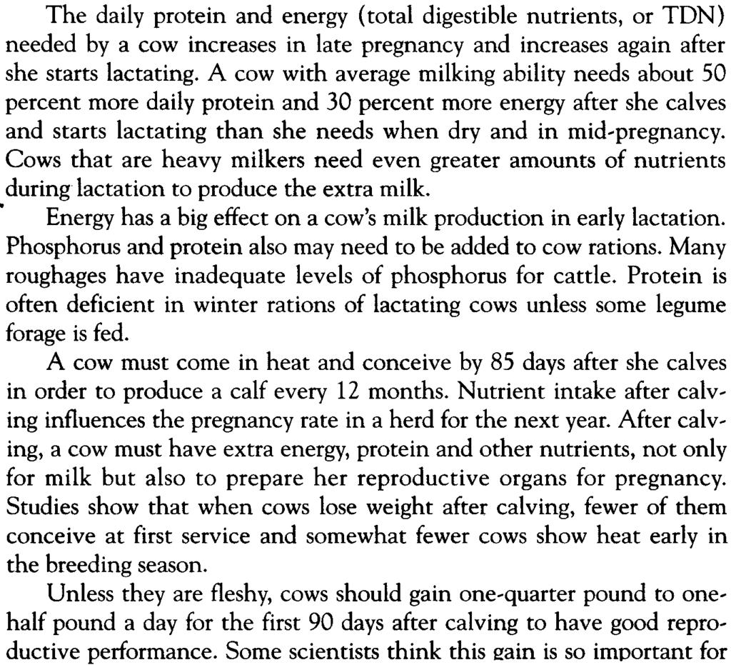 Calving problems may be related to overconditioning of the cow and to calf size.