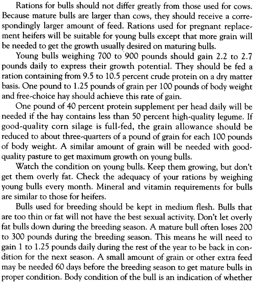 r Rations for bulls should not differ greatly from those used for cows. Because mature bulls are larger than cows, they should receive a correspondingly larger amount of feed.