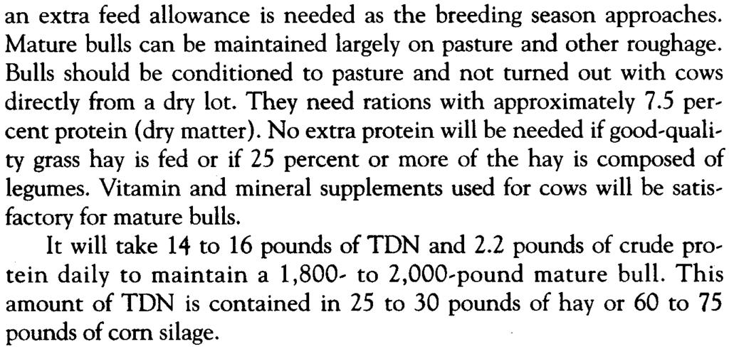 an extra feed allowance is needed as the breeding season approaches. Mature bulls can be maintained largely on pasture and other roughage.