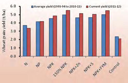 optimal NPK out-yielded all other treatments. The yields in these treatments were significantly greater than recommended NPK, suggesting for an increase in the fertilizer recommendations.